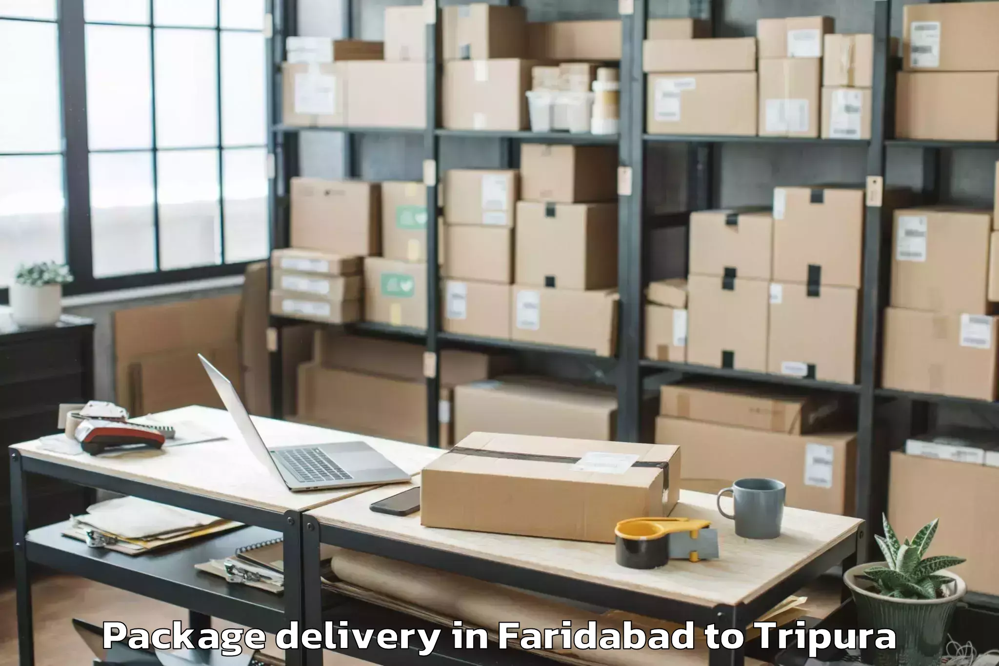 Book Faridabad to Hezamara Package Delivery Online